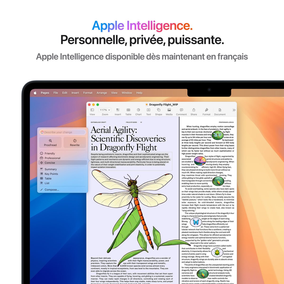 MacBook Air 13 pouces: Puce Apple M4 avec CPU 10 cœurs et GPU 10 cœurs, 512 Go SSD - Argent